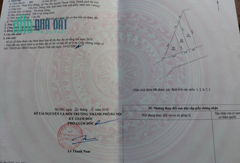 100m trục chính thôn 3 Tân xã giá đầu tư