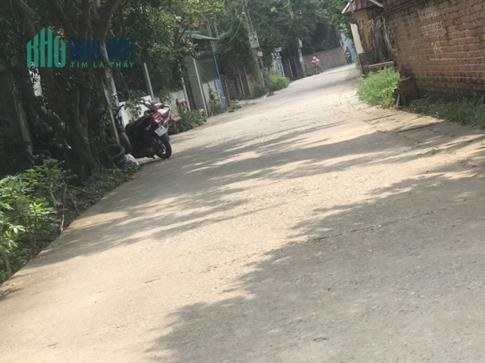 100m trục chính thôn 3 Tân xã giá đầu tư