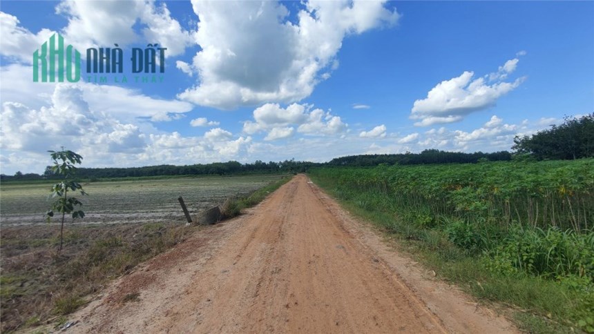 15 lô đất nền đắc địa gần sân bay - Đầu tư đón đầu thành công. Giá RẺ BẤT NGỜ