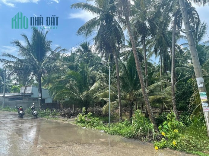 Sở Hữu Ngay Lô Đất Vị Trí Đắc Địa Tại Trung Thành, Vũng Liêm, Vĩnh Long