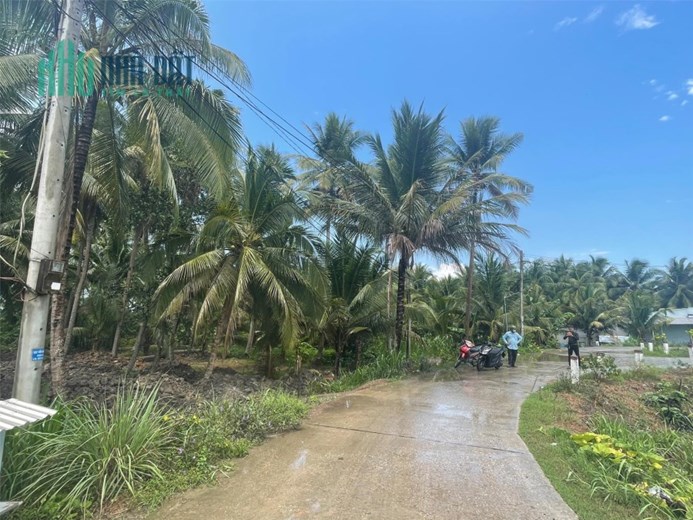 Sở Hữu Ngay Lô Đất Vị Trí Đắc Địa Tại Trung Thành, Vũng Liêm, Vĩnh Long