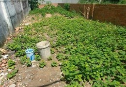 Vị trí đẹp vì ngay QL dân cư thì đông kín mít luôn rồi cô bác ơi