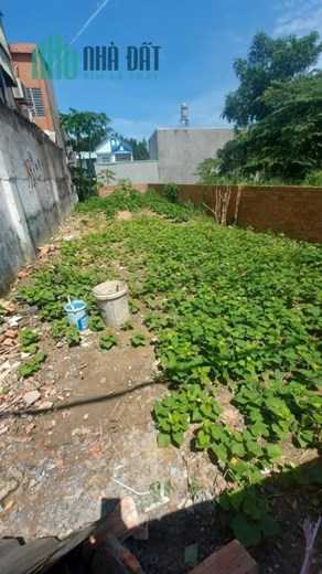 Vị trí đẹp vì ngay QL dân cư thì đông kín mít luôn rồi cô bác ơi