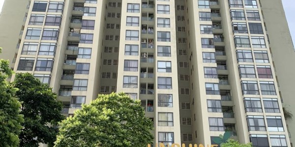CĂN HỘ SỐ 9 VŨ PHẠM HÀM THIẾT KẾ THÔNG MINH ĐÓN ÁNH SÁNG TỰ NHIÊN