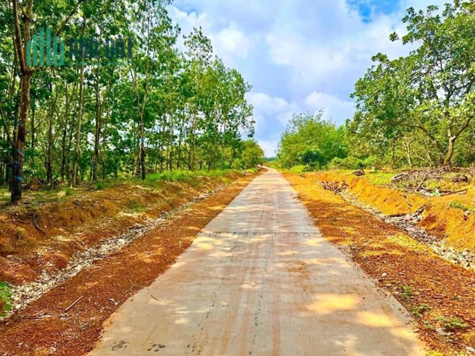 CHÍNH CHỦ CẦN BÁN LÔ ĐẤT RỘNG MẶT TIỀN ĐƯỜNG BÊ TÔNG GẦN ĐƯỜNG QUỐC LỘ NGAY TÂN PHƯỚC - ĐỒNG PHÚ