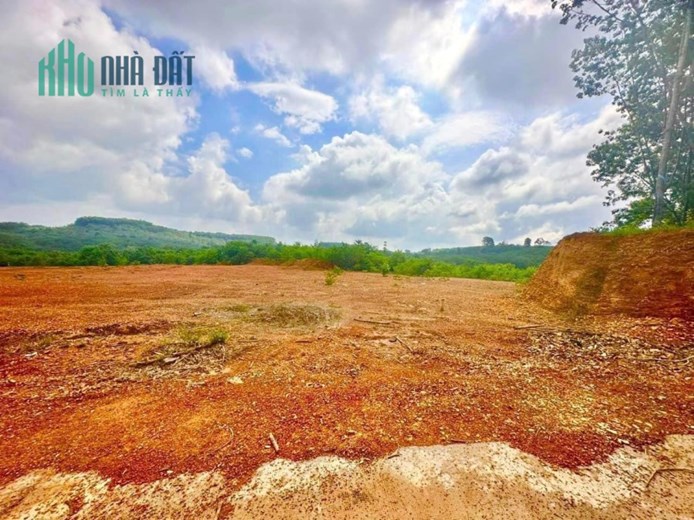 CHÍNH CHỦ CẦN BÁN LÔ ĐẤT RỘNG MẶT TIỀN ĐƯỜNG BÊ TÔNG GẦN ĐƯỜNG QUỐC LỘ NGAY TÂN PHƯỚC - ĐỒNG PHÚ