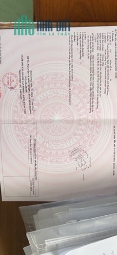 Bán nhà MT DX65 P.Định Hoà Thủ Dầu Một, SHR (6,8x14) 3.85 tỷ. Lh;0988139439.