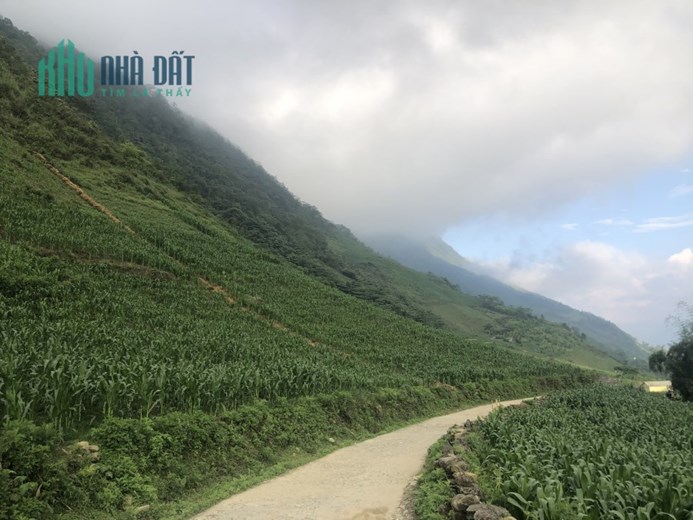 ĐẤT NỀN SA PA DIỆN TÍCH RỘNG VIEW TOÀN BỘ THUNG LŨNG MƯỜNG HOA