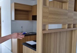 Chính chủ cần cho thuê nguyên căn hộ mới 100%