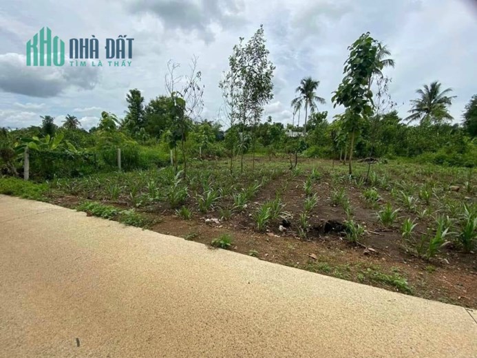 Bán lô đất đường ĐT 761, X.Ngọc Định, Định Quán, Đồng Nai