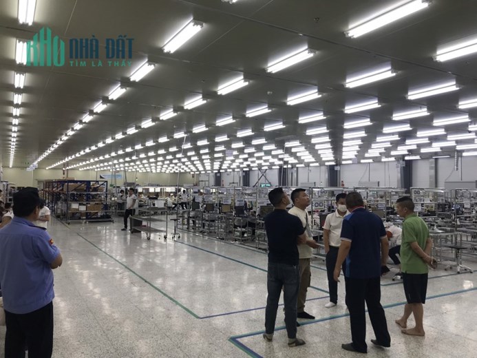 CHO THUÊ NHÀ XƯỞNG TẠI ĐIỀM THỤY. THÁI NGUYÊN