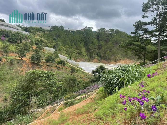 ( View đẹp ) Chủ gửi Bán gấp căn nhà xinh xắn view đẹp tại Trại Mát, Đà Lạt 1000m2 giá 4.5 tỷ
