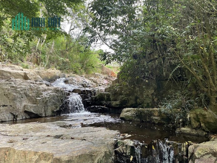 ( View đẹp ) Chủ gửi Bán gấp căn nhà xinh xắn view đẹp tại Trại Mát, Đà Lạt 1000m2 giá 4.5 tỷ