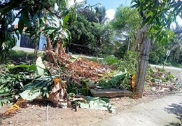 CHÍNH CHỦ BÁN Căn Nhà Mặt Tiền Đẹp Tại Thành phố Mỹ Tho, Tiền Giang - 
Thích hợp làm kho, mặt bằng
