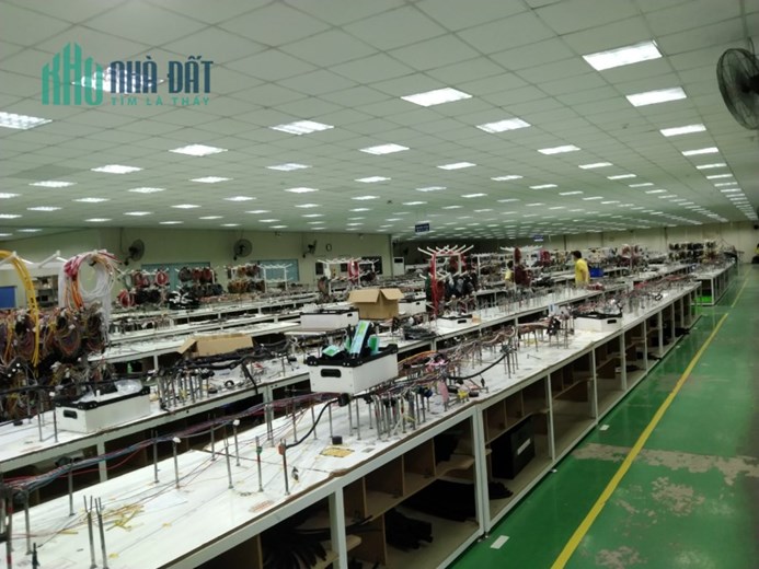 Cho thuê nhà xưởng đẹp, đầy đủ giấy tờ pháp lý, nhiều tiên ích ở Vĩnh Phúc