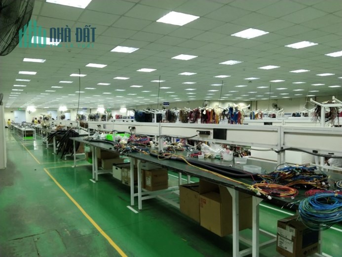Cho thuê nhà xưởng đẹp, đầy đủ giấy tờ pháp lý, nhiều tiên ích ở Vĩnh Phúc