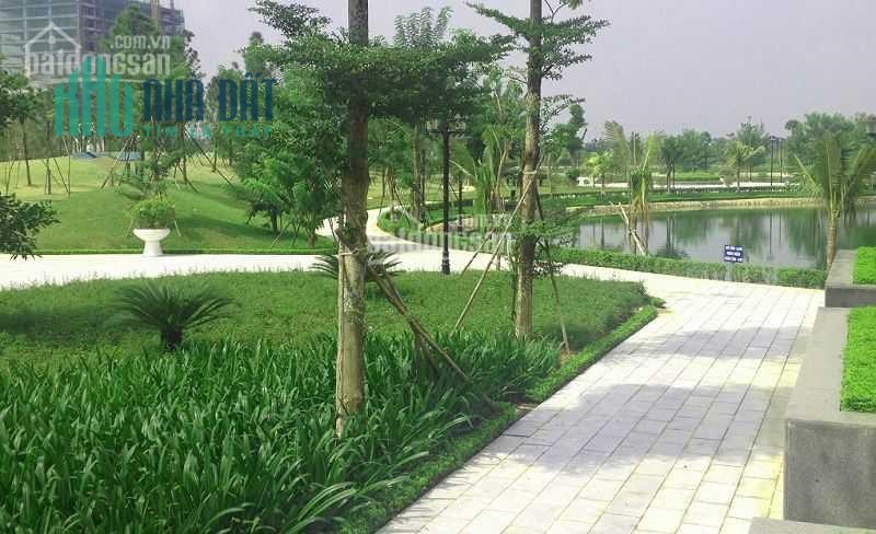 Bán đất Long Phước quận 9 giá rẻ bán đất quận 9 ngộp,DT 53.5m,giá 1.5 tỷ lh 0933660119 Hoài