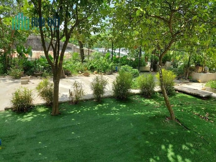Sở Hữu Ngay Lô Đất Đẹp Vị Trí Đắc Địa Tại Hòa Vang - Đà Nẵng