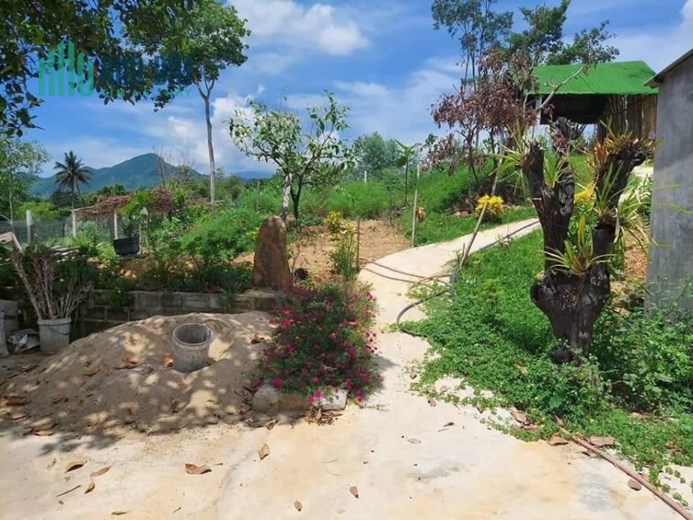 Sở Hữu Ngay Lô Đất Đẹp Vị Trí Đắc Địa Tại Hòa Vang - Đà Nẵng