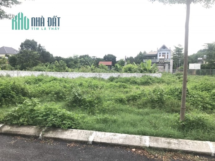 CẦN BÁN GẤP ĐẤT THÔN 8  TÂN XÃ GIÁ CẮT LỖ