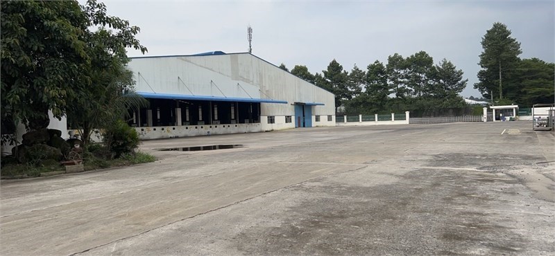Nhà Máy Sản Xuất Công Nghiệp Bình Sơn , Toàn bộ nhà máy đang SX Gỗ Xuất khẩu,