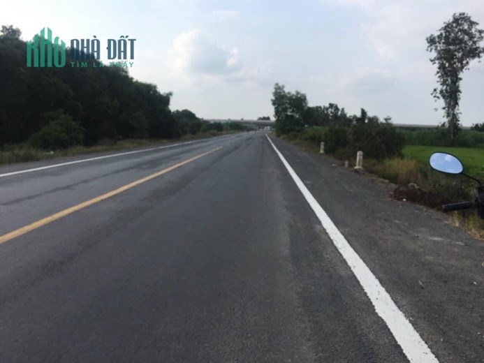 1,1hecta đường Bắc kênh Bao Ngạn,Tân Hoà Đông,Tân Phước,Tiền Giang