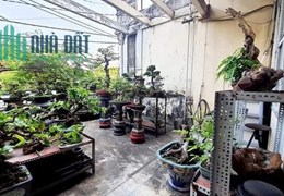 BÁN NHÀ MẶT TIỀN TÁI THIẾT, TÂN BÌNH, NGANG 5.3 x 19, NHỈNH 10 tỷ.