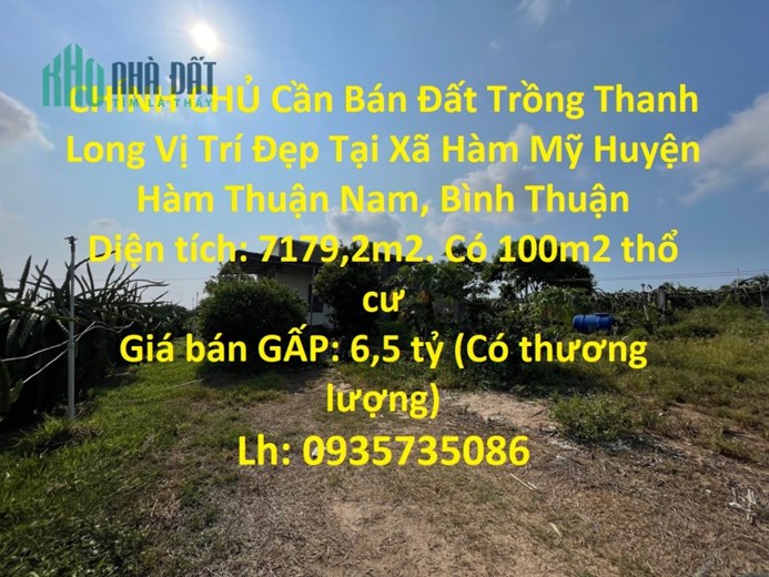 CHÍNH CHỦ Cần Bán Đất Trồng Thanh Long Vị Trí Đẹp Tại Xã Hàm Mỹ Huyện Hàm Thuận Nam, Bình Thuận