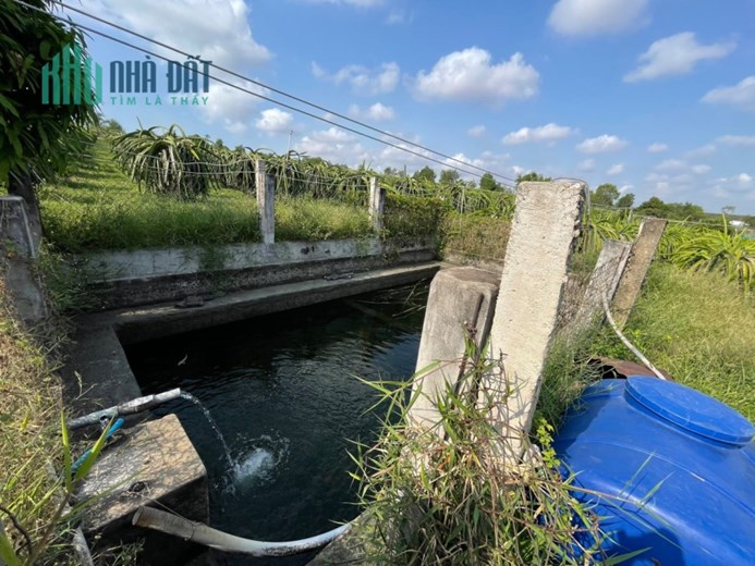 CHÍNH CHỦ Cần Bán Đất Trồng Thanh Long Vị Trí Đẹp Tại Xã Hàm Mỹ Huyện Hàm Thuận Nam, Bình Thuận