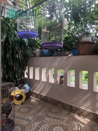 MẶT PHỐ NGHĨA TÂN 58M2 X 5T, 2 MẶT TIỀN – VỈA HÈ – KINH DOANH 10 TỶ