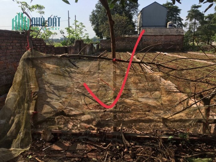 100M TĐC LINH SƠN GIÁ CẮT LỖ