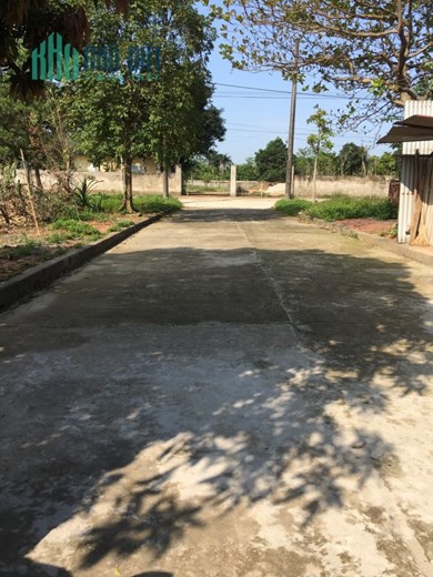 100M TĐC LINH SƠN GIÁ CẮT LỖ