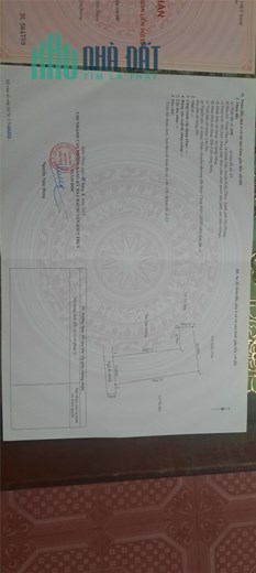 Nhà Vườn Thù Du . Minh Tân  . Giá rẻ