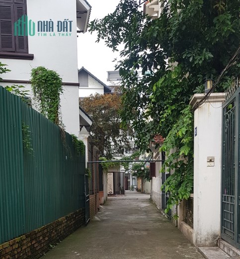 Biệt thự phố Nguyễn Văn Cừ 125m, 3tầng, mt8.7m, 13,2 tỷ