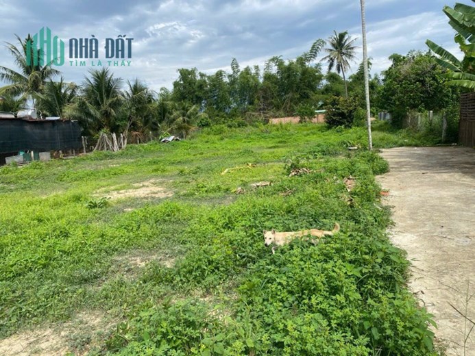 Bán đất Diên Hoà siêu phẩm 3 mặt đường bê tông vuông vức