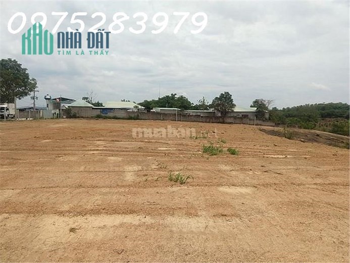 Bán Nhanh hơn 2,4ha đất vườn Xã Phước Tân,Xuyên Mộc,Bà Rịa Vũng Tàu giá rẻ