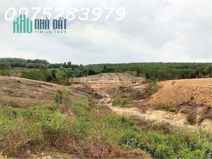 Bán 2.45ha đất vườn Phước Tân,Xuyên Mộc Bà Rịa Vũng Tàu giá rẻ