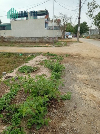 NHỈNH HƠN 2TY CÓ NGAY LÔ ĐẤT TRỤC CHÍNH ĐƯỜNG THONG CÁCH NAM TỈNH LỘ 420