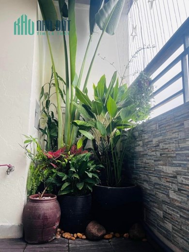 CHUNG CƯ CAO CẤP NAM ĐÔ COMPLEX 99 MÉT 3 NGỦ 3TY
