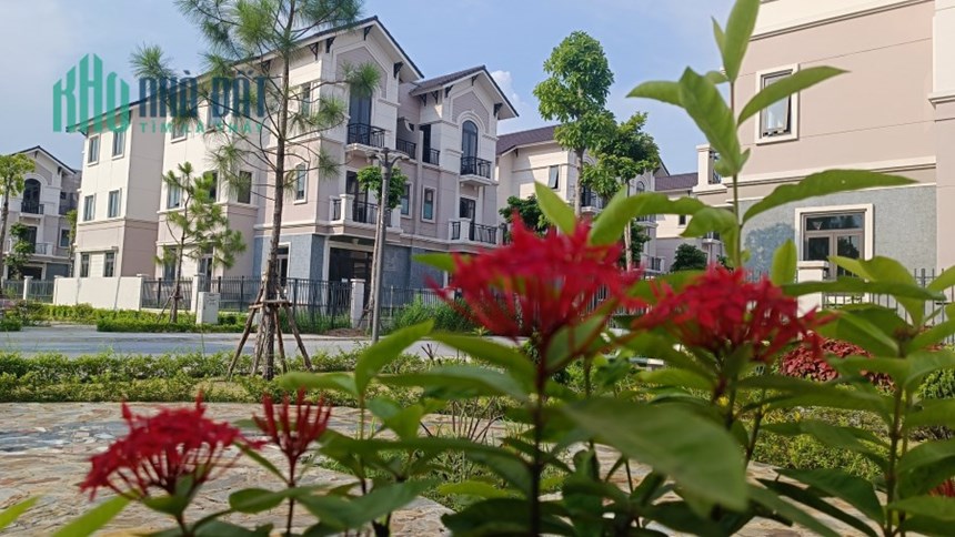 Chủ yếu tài chính cần bán gấp gấp.
