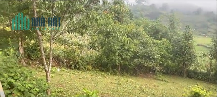 ĐẤT NỀN Y TÝ CÓ SỔ HỒNG VỊ TRÍ ĐẮC ĐỊA VIEW THUNG LŨNG