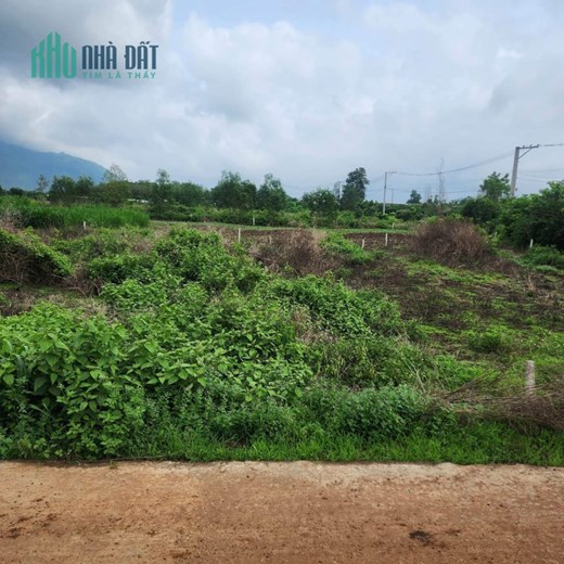 Sở Hữu Ngay Lô Đất Đẹp Vị Trí Đắc Địa Tại Xuân Trường, Xuân Lộc, Đồng Nai.