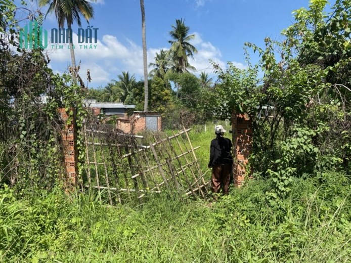 Sở Hữu Ngay Lô Đất Đẹp Vị Trí Đắc Địa Tại Xã Chà Là, Dương Minh Châu, Tây Ninh