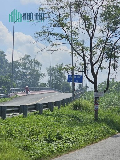 Sở Hữu Ngay CĂN NHÀ Đẹp Vị Trí Đắc Địa Tại  Đồng Tháp - GIÁ CỰC RẺ