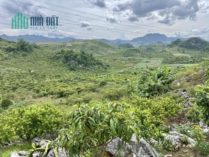 Cần bán mảnh đất có diện tích khoảng 6500m Mường Sang, Mộc Châu, Sơn La