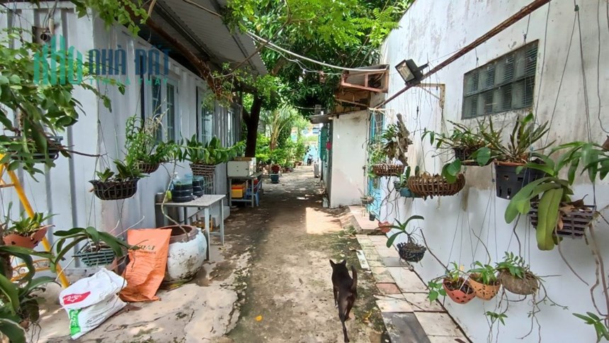 Bán nhà Cấp 4, 3000m2 (46x65m) Full thổ cư, ngay Lê Trọng Tấn - Tây Thạnh, giá 250 tỷ.
