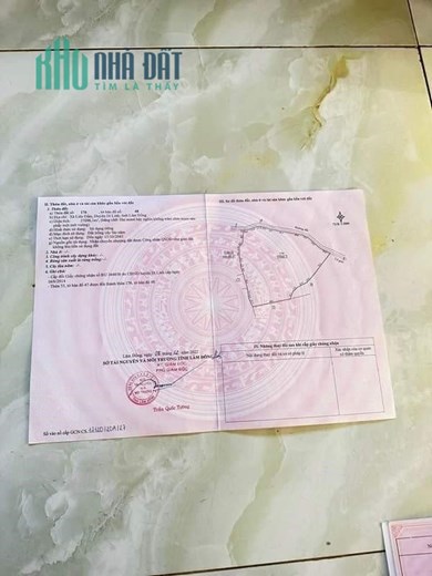 Sở Hữu Ngay Lô Đất Đẹp Vị Trí Đắc Địa Tại Xã Liên Đầm, Huyện Di Linh, Lâm Đồng