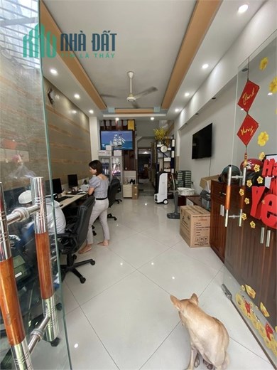 Khu Vip Tô Hiệu, Hiệp Tân, Tân Phú, View công viên  – 4x20m, 5 tầng, chỉ 8.7tỷ