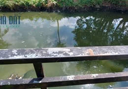 Nhà chính chủ cần bán bên sông Sài Gòn, đường nhựa 7m