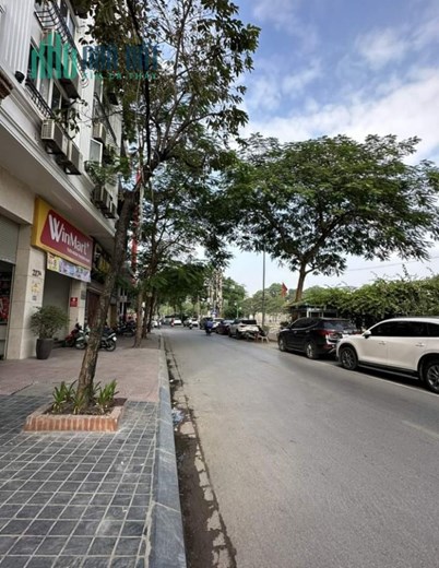 GIÁ CẮT LỖ NHÀ PHỐ PHAN ĐÌNH GIÓT.35m2.NHÀ CHỦ XÂY TÂM HUYẾT 4,5 TẦNG.CHỦ NHÀ ĐANG THỞ OXY MUỐN BÁN